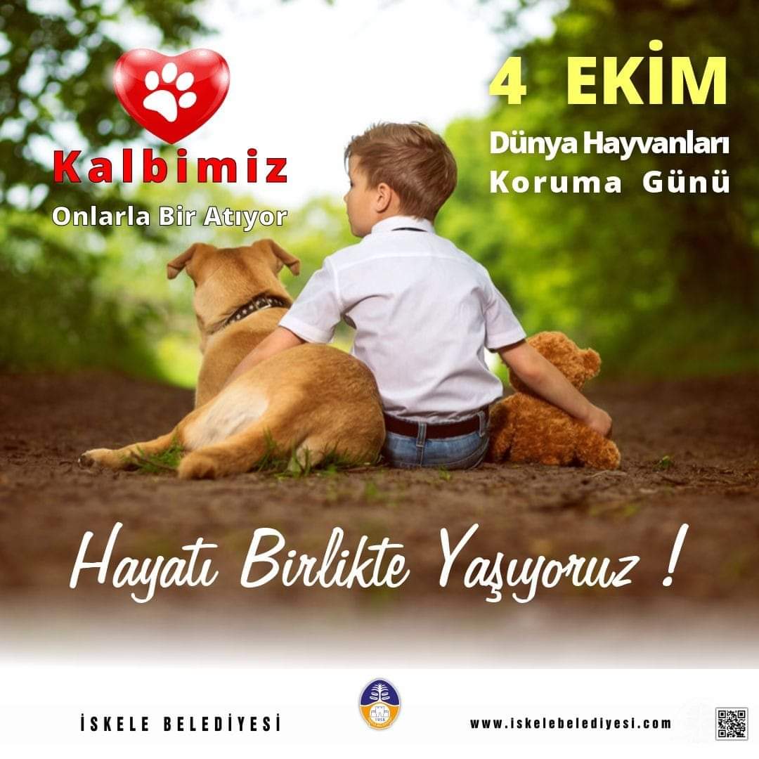 FB IMG 1728120023905
